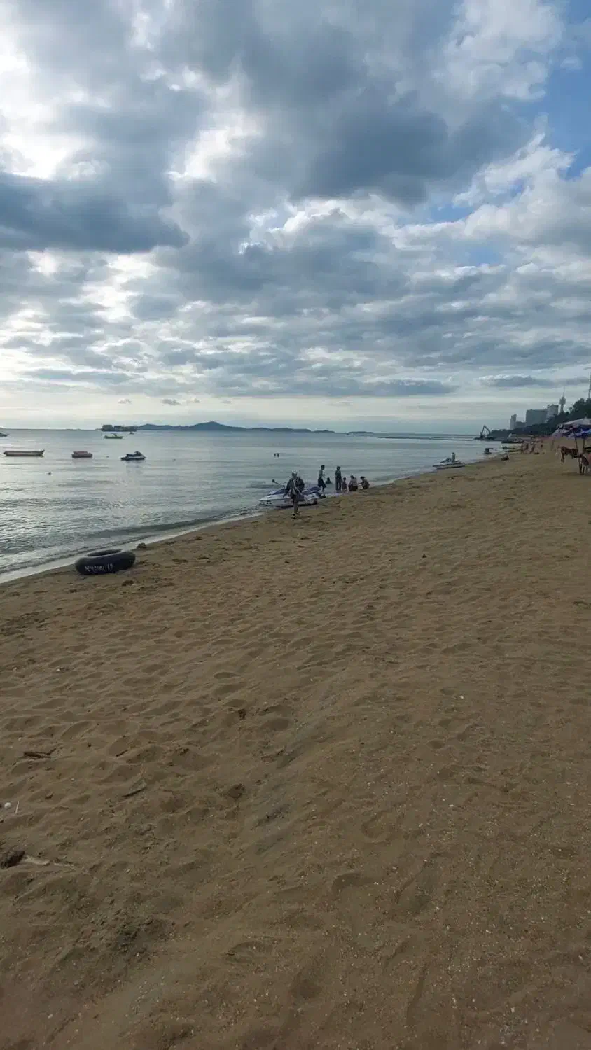 ژاپن ، استرالیا|خدمات مالی، حسابداری، بیمه|تهران, کیانشهر|دیوار