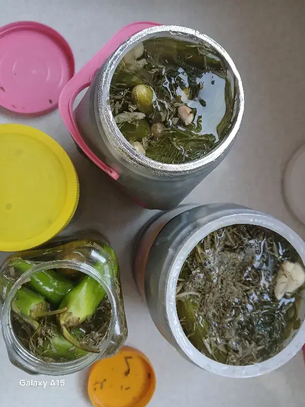 سبزی|خوردنی و آشامیدنی|سبزوار, جوادیه غربی|دیوار