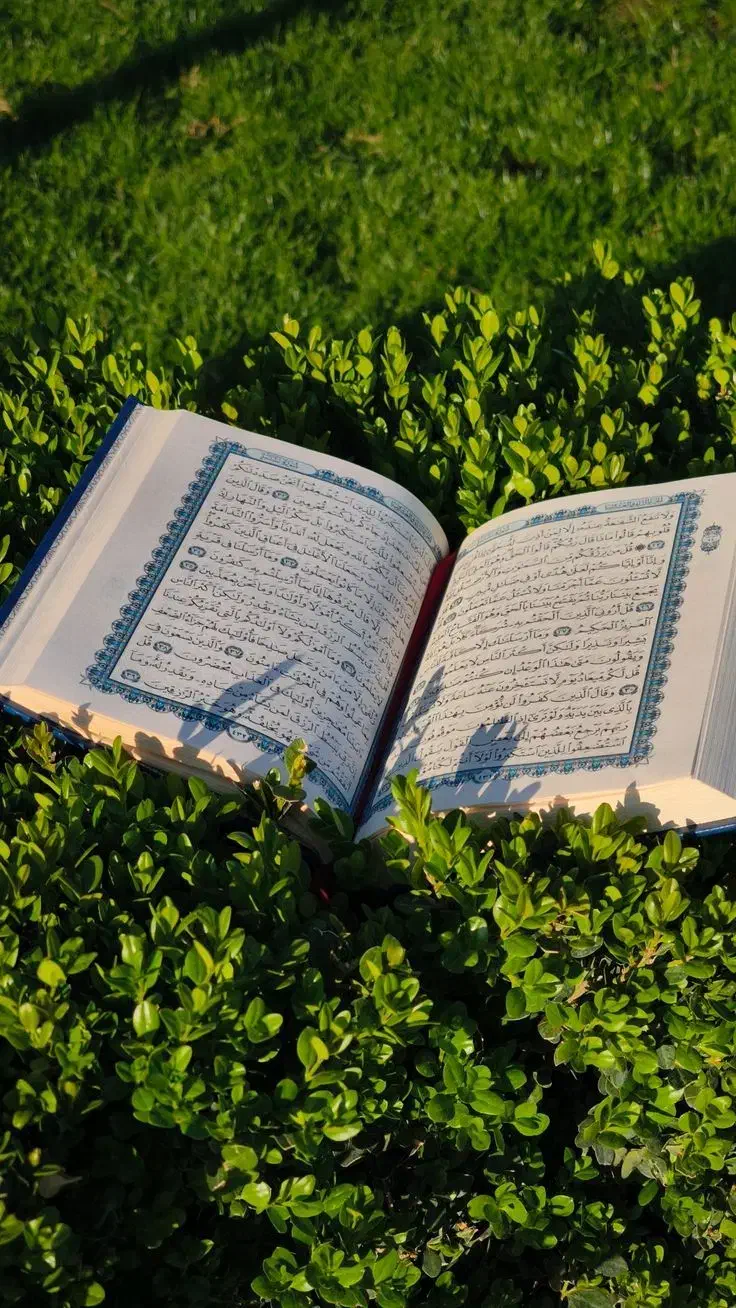 فال قرآن کریم|خدمات پذیرایی، مراسم|اهواز, کوی ملی راه|دیوار