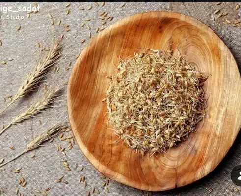 استخدام زوج جوان برای سرایداری و کار تولیدی|استخدام سرایداری و نظافت|ماهدشت, |دیوار