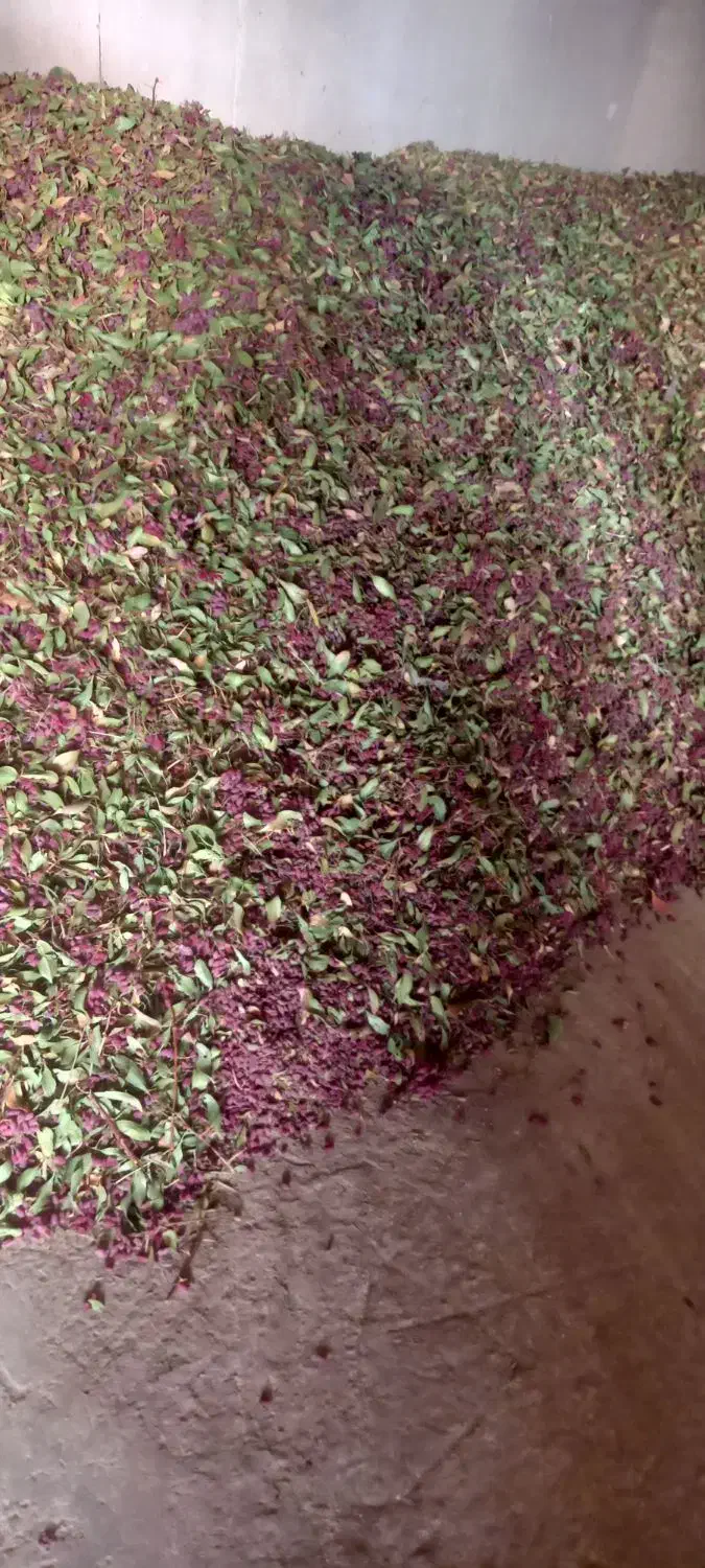 زرشک پفکی امسالی|خوردنی و آشامیدنی|قهستان, |دیوار