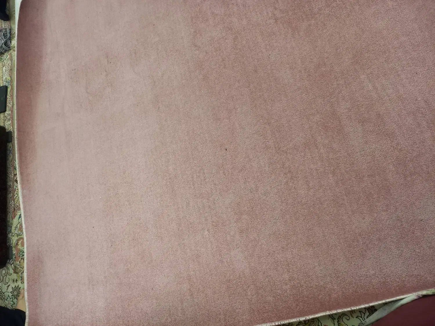 پالاز موکت 9 متری|موکت|مشهد, وحید|دیوار