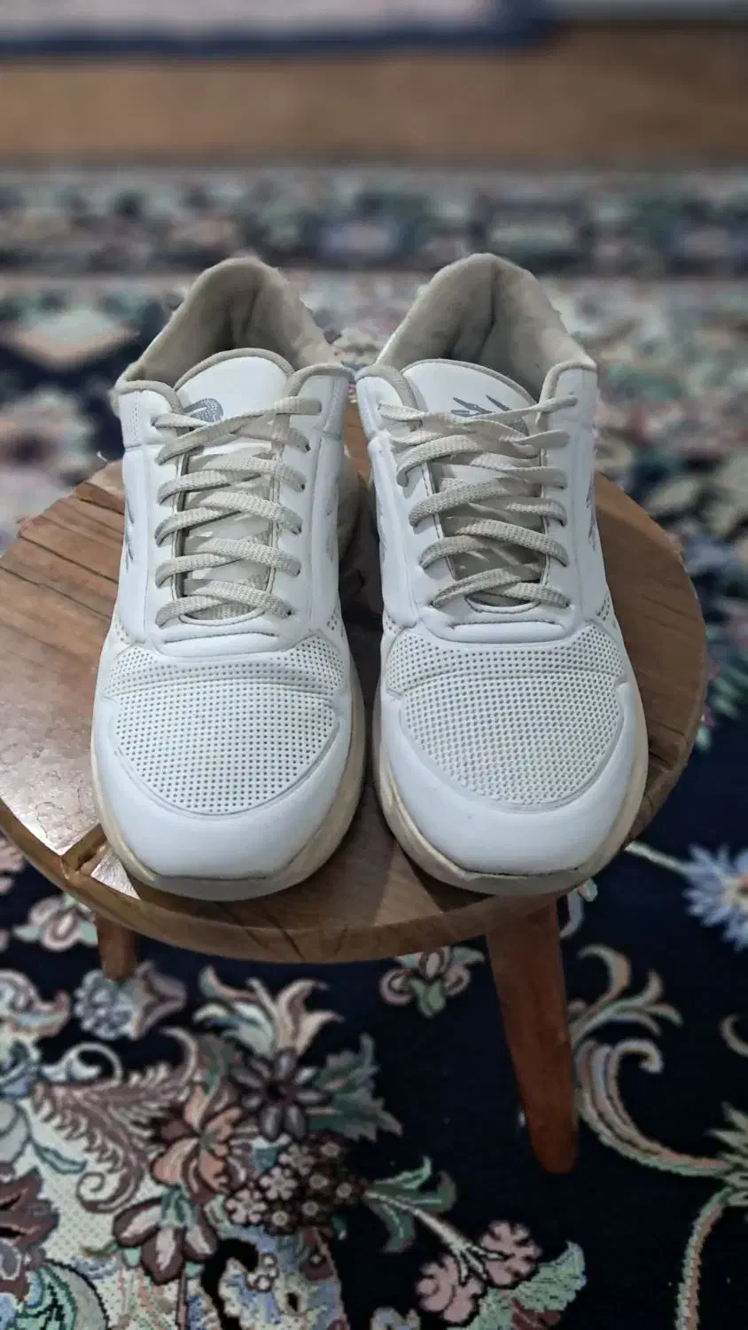 کتونی سفید|کیف، کفش، کمربند|املش, |دیوار