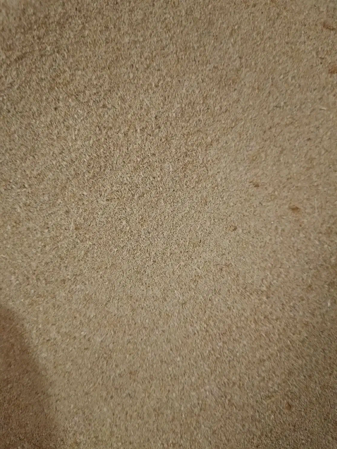 کود میلورم|خدمات باغبانی و درختکاری|شیروان (خراسان), |دیوار