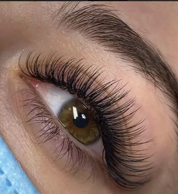 آموزش مژه|خدمات آموزشی|صدرا-فارس, فاز ۱|دیوار