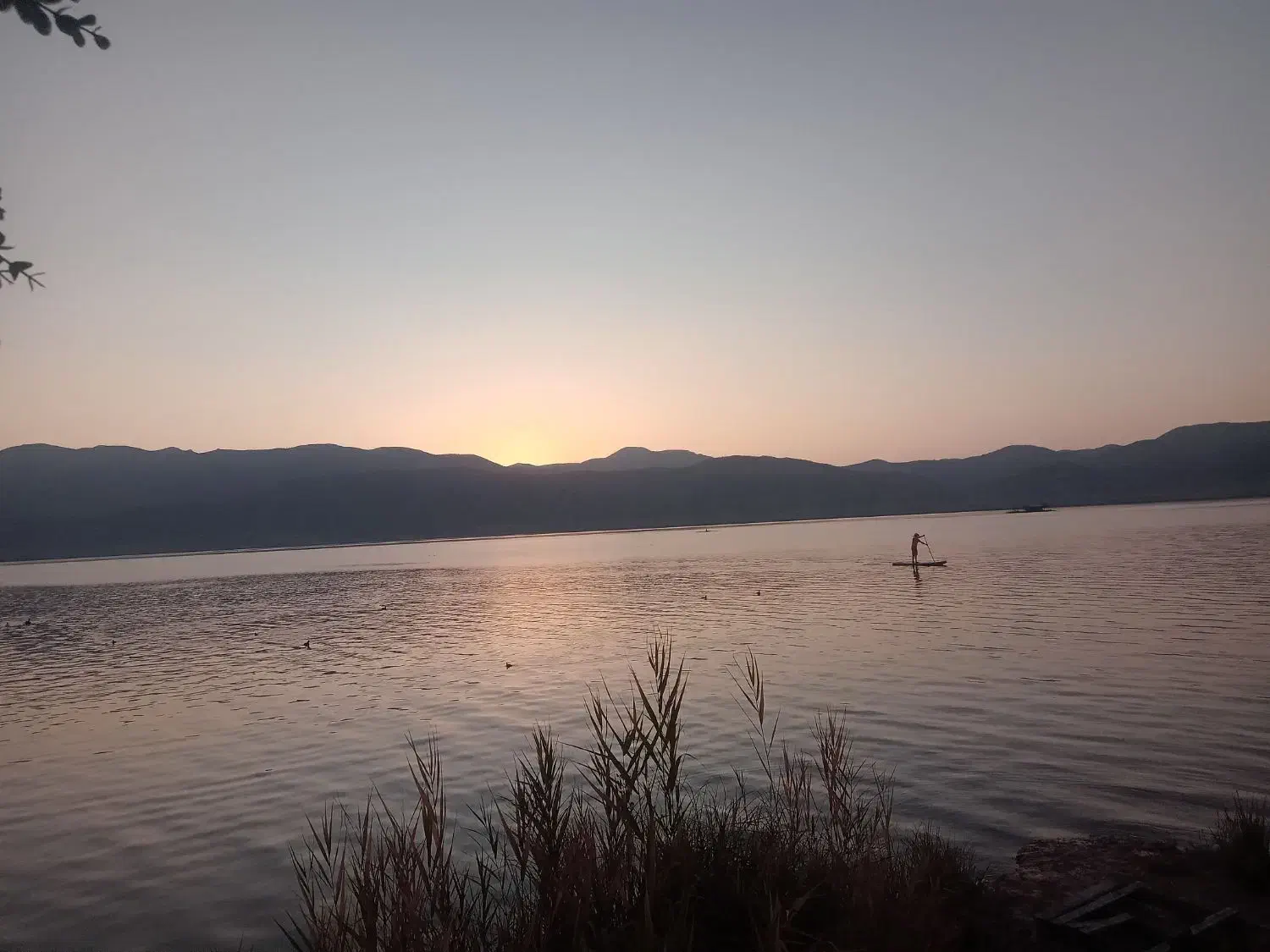 وام|فعالیت داوطلبانه|مریوان, |دیوار