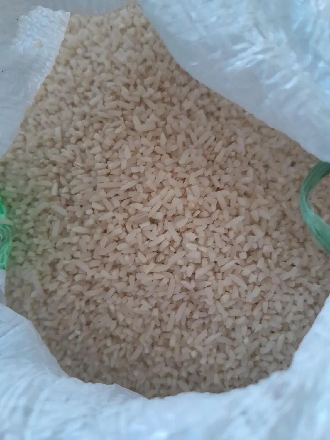 سلام نمیدانم هاشمی بشرط پخت|خوردنی و آشامیدنی|شفت, |دیوار