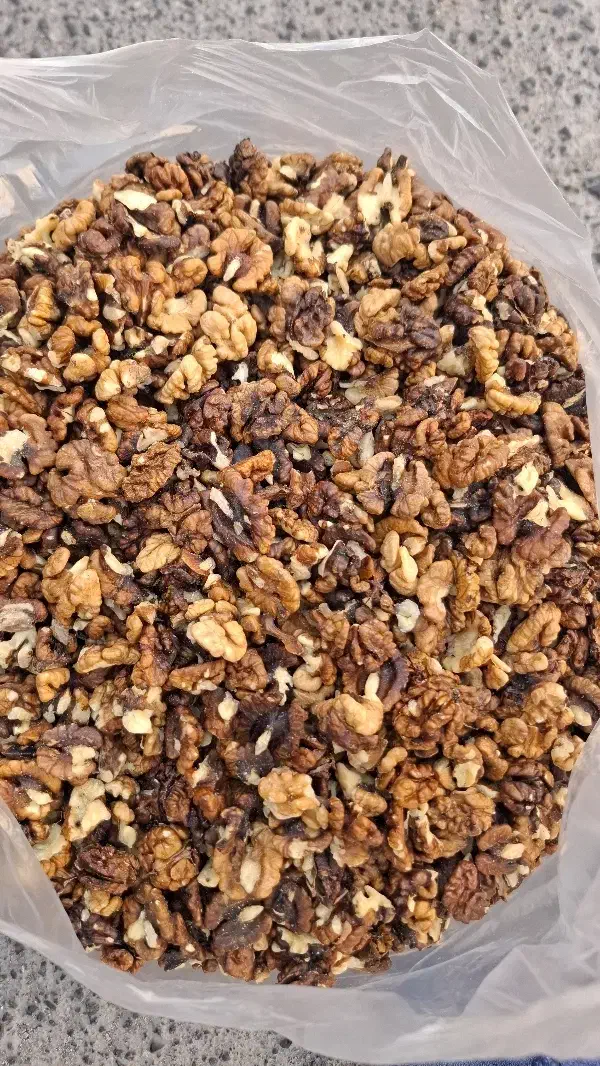 مغز گردو 650 تومن|حراج|آستارا, |دیوار