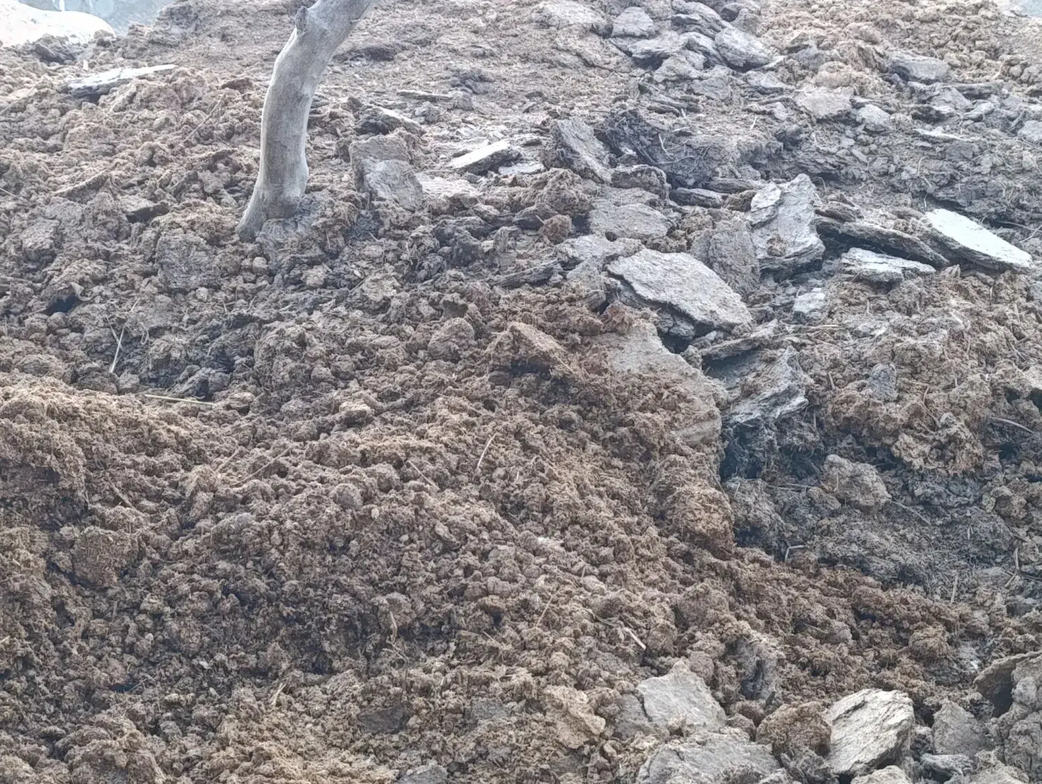 کود گاوی و گوسفندی خشک|خدمات باغبانی و درختکاری|منجیل, |دیوار