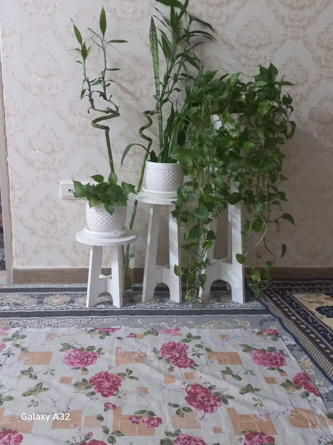 سه پایه گلدان|گل و گیاه طبیعی|تهران, جوادیه تهرانپارس|دیوار