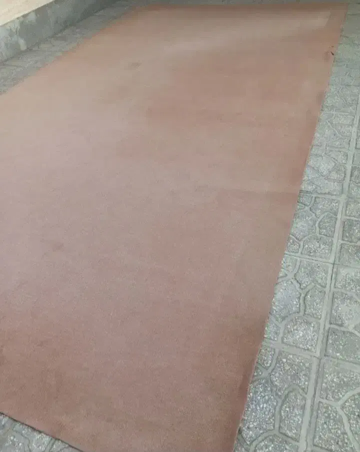 موکت|موکت|سمنان, |دیوار