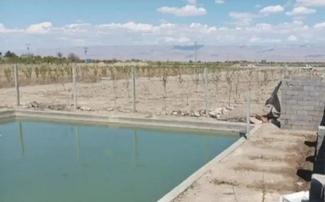 زمین باغی حاشیه جاده قدیم چناران|فروش زمین و ملک کلنگی|مشهد, رضاییه|دیوار