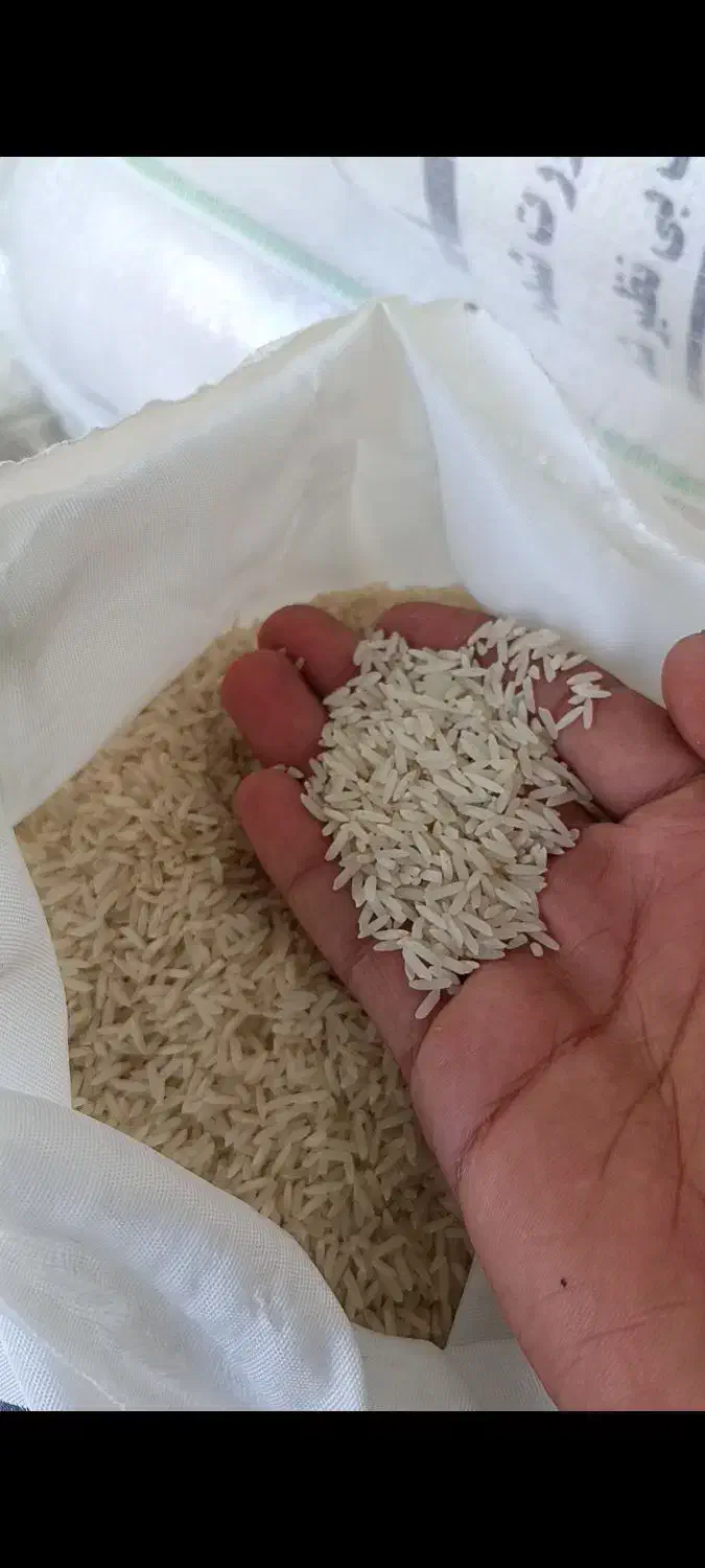 برنج ندا سرت و بسته بندی شده اعلا|خوردنی و آشامیدنی|نسیم‌شهر, |دیوار