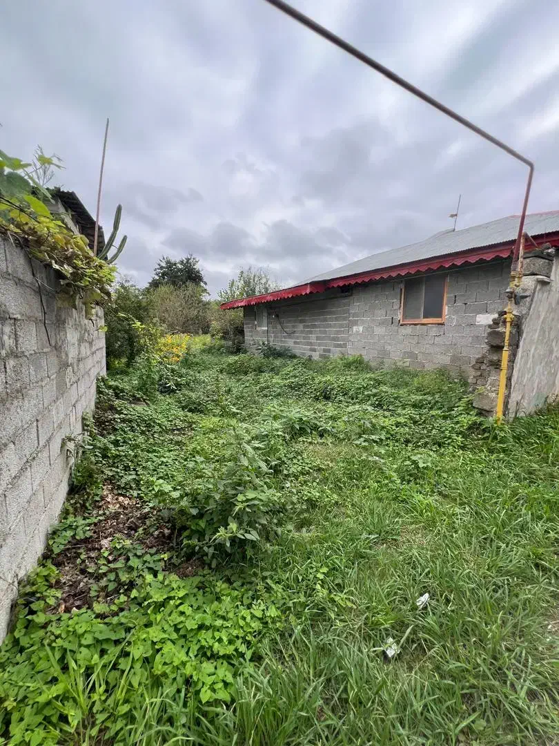 زمین تو بافت شهری کد ۱۲۲|فروش زمین و ملک کلنگی|طاهرگوراب, |دیوار