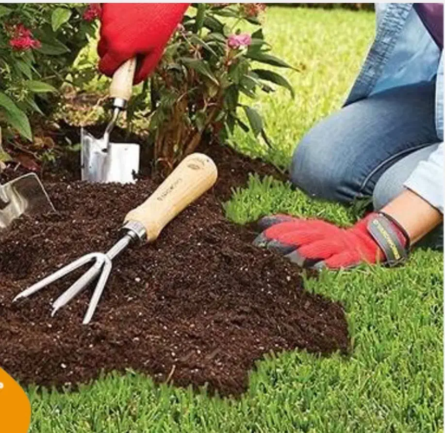 باغ و خانه باغ|استخدام معماری، عمران و ساختمانی|تبریز, |دیوار