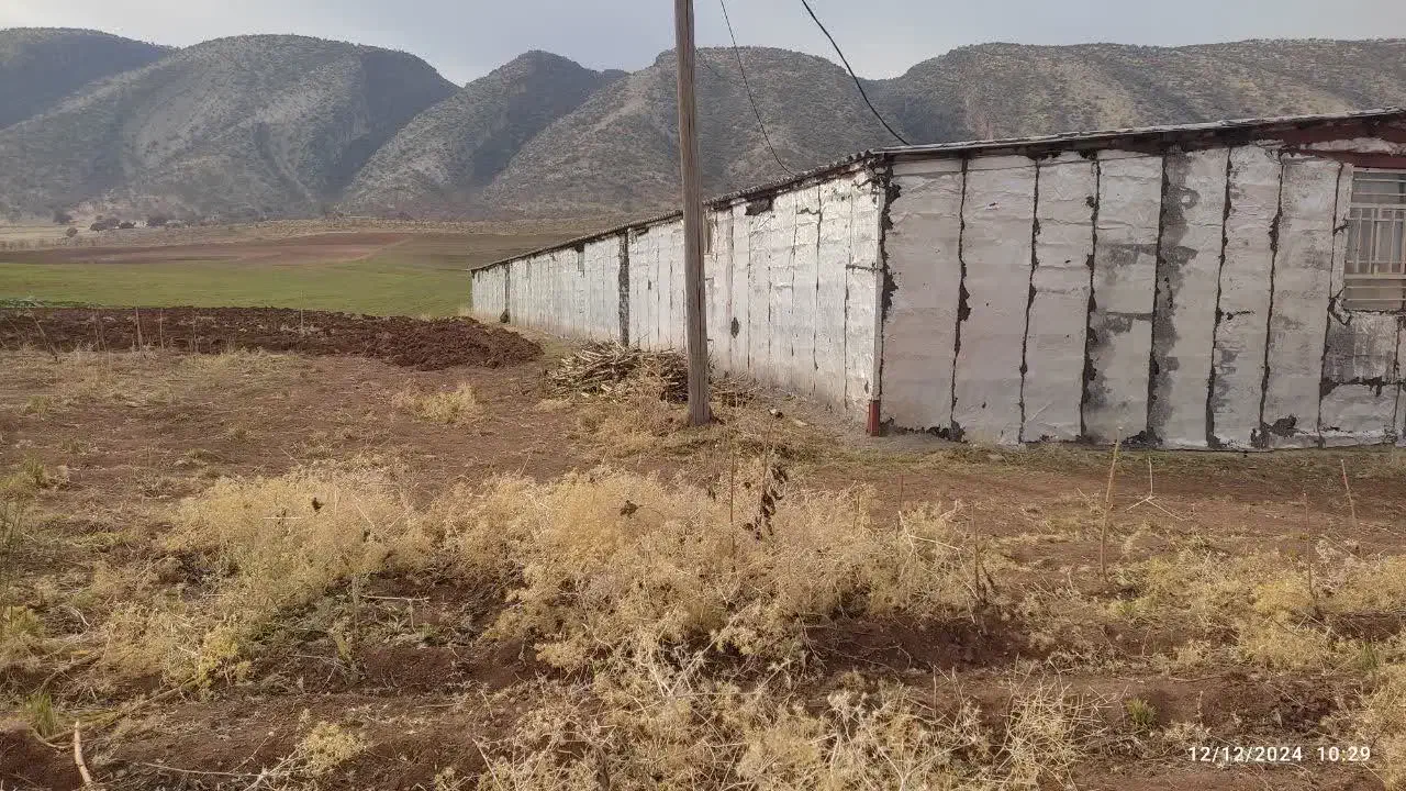 گیلان غرب زمین ۶۰۰۰ متری با سوله پرواربندی|فروش زمین و ملک کلنگی|گیلان غرب, |دیوار