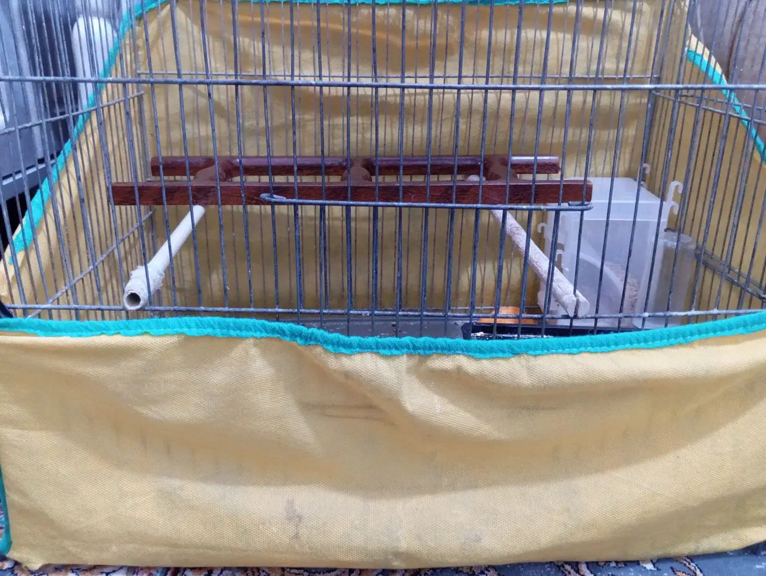 قفس|لوازم جانبی حیوانات|قم, ولیعصر|دیوار