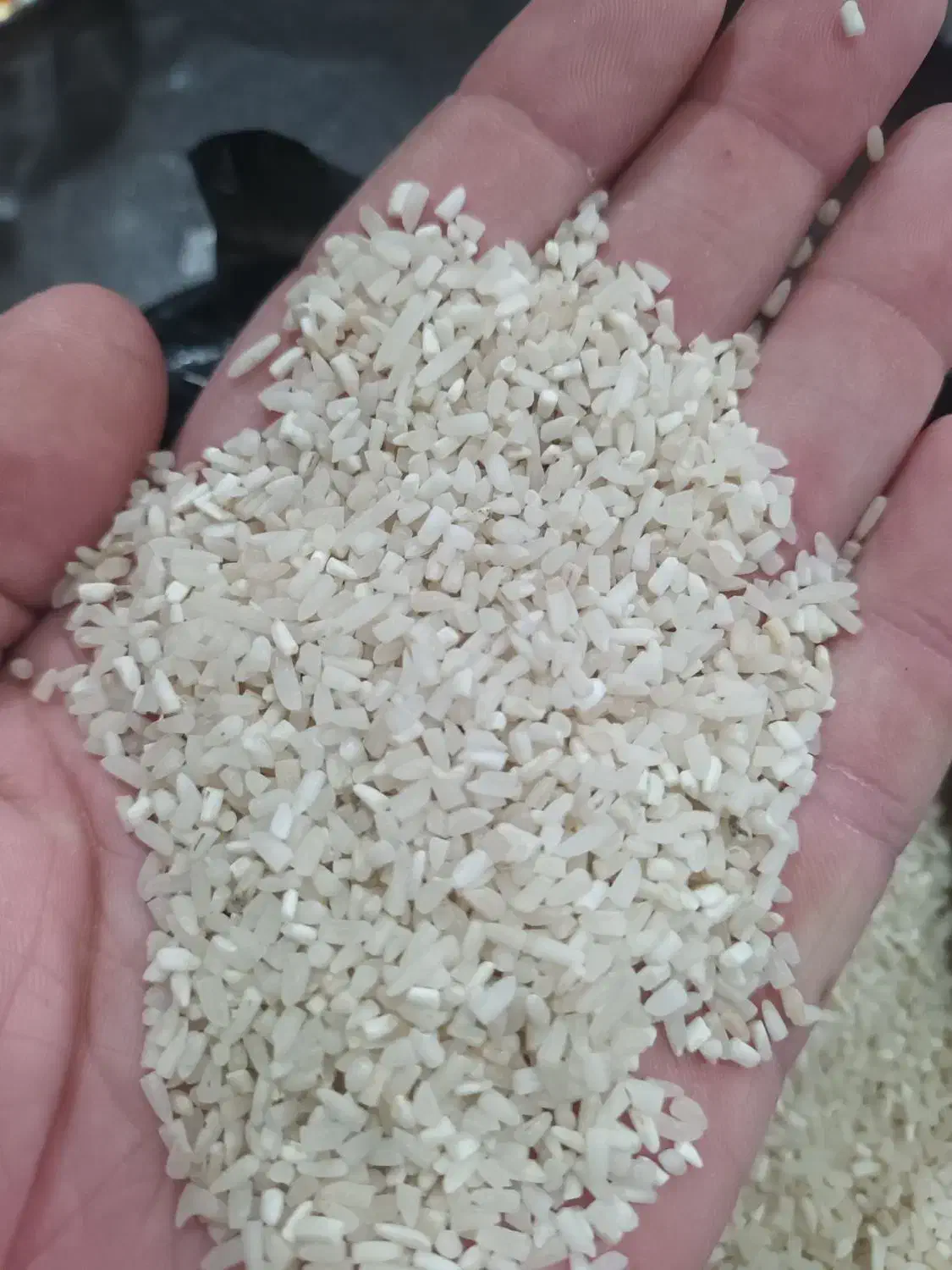 لاشه هاشمی دودی|عمدهفروشی|تهران, شهرک فردوس (حسینی)|دیوار