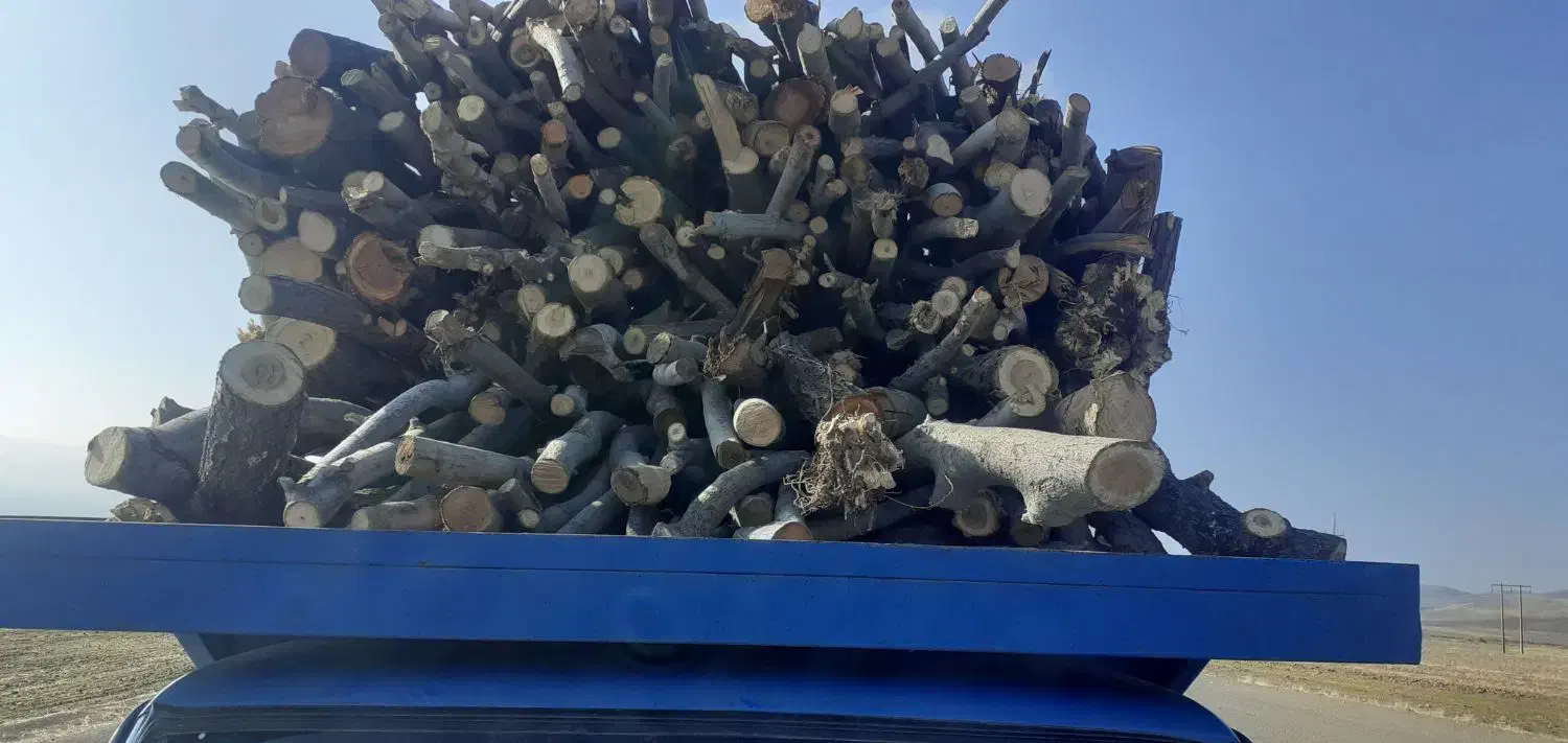 حرص وبرش کاری چ وب|خدمات باغبانی و درختکاری|خزل, |دیوار