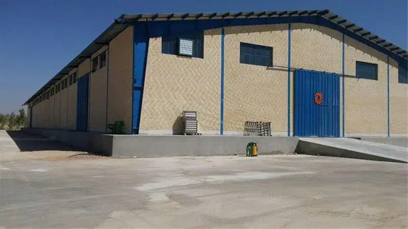 فروش سوله صنعتی/برق ۳ فاز/سند تک برگ|فروش دفتر صنعتی، کشاورزی، تجاری|باقرشهر, |دیوار