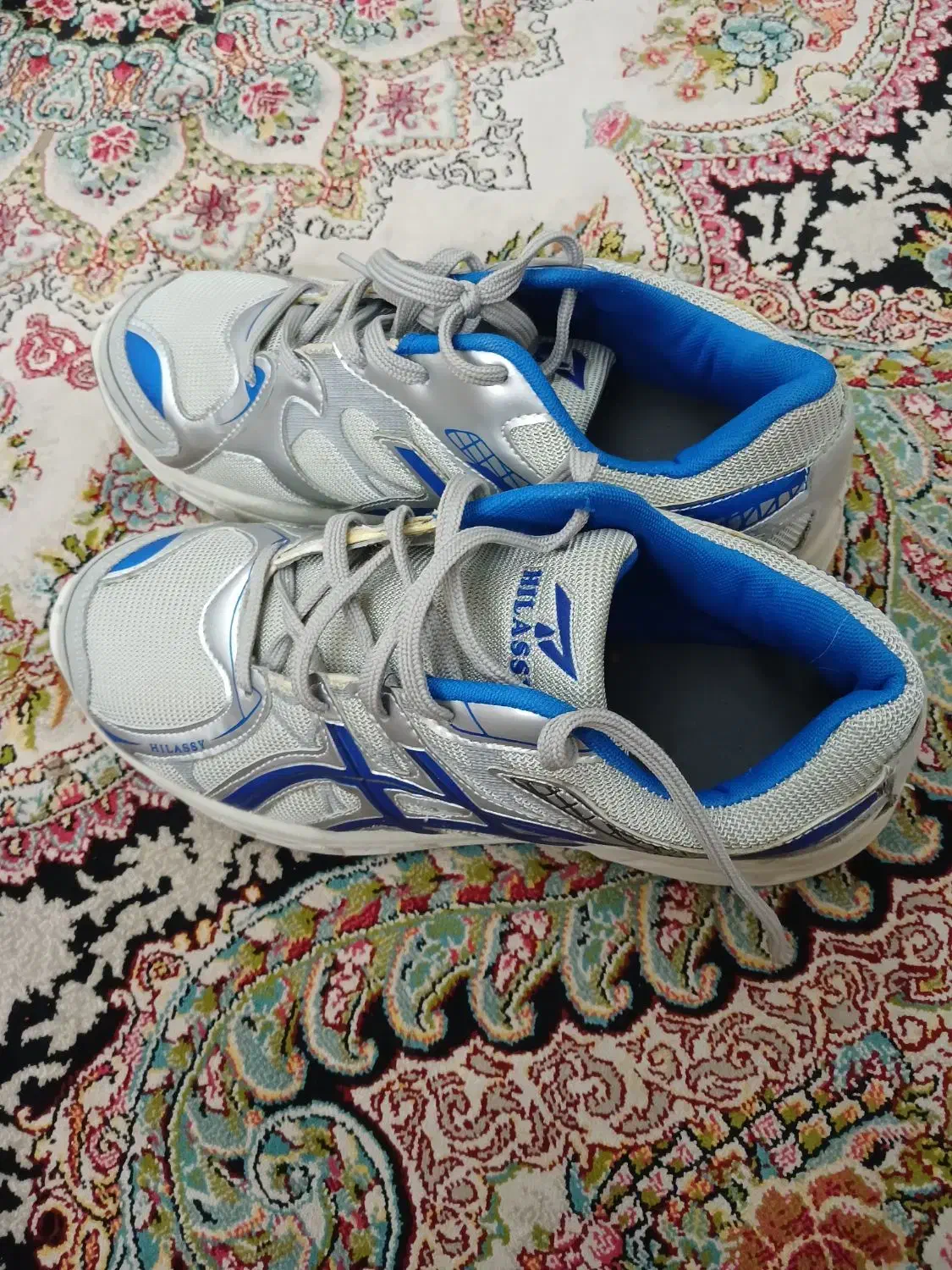 کفش|کیف، کفش، کمربند|همدان, |دیوار