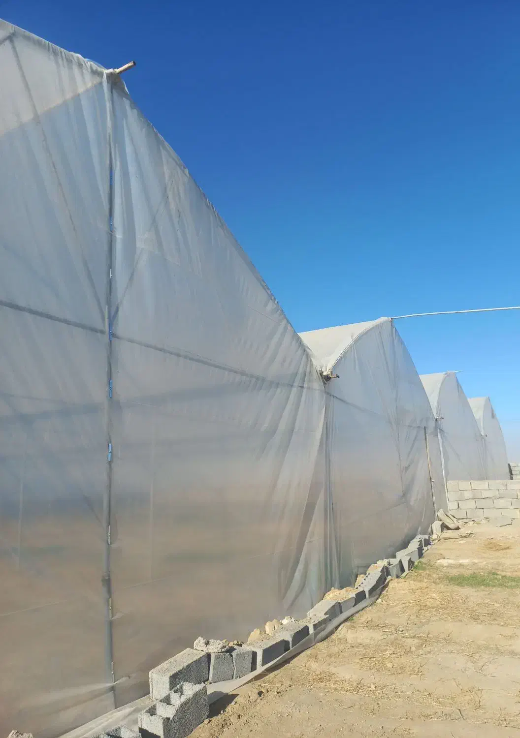 گلخانه|اجارهٔ دفتر صنعتی، کشاورزی، تجاری|مشهد, اسماعیل آباد|دیوار