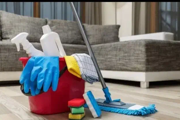 نظافت منزل|خدمات نظافت|سیرجان, |دیوار