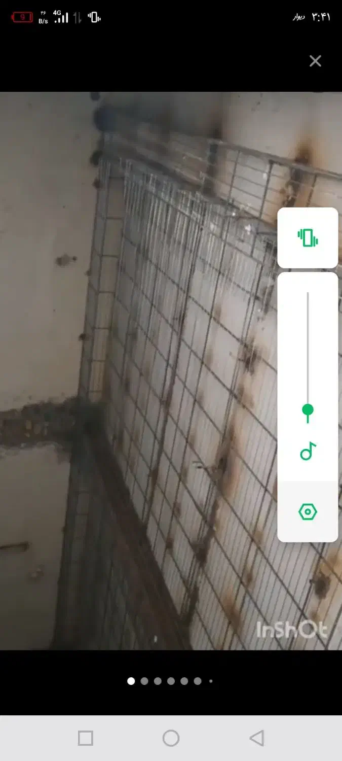 راویس کاری|خدمات پیشه و مهارت|بندر امام خمینی, |دیوار