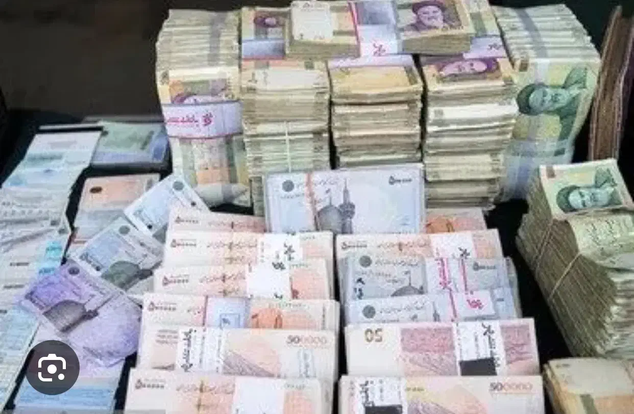 نیازمندسرمایه گذار|فعالیت داوطلبانه|برازجان, |دیوار