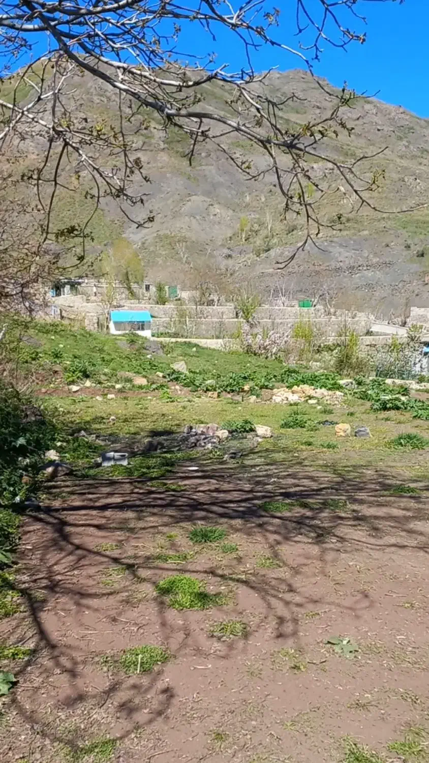 زمین شمشک دربندسر|فروش زمین و ملک کلنگی|تهران, شهرک امیرالمومنین|دیوار