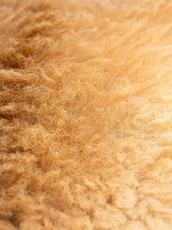 مرینوس|فرش|کرج, دهقان ویلا|دیوار