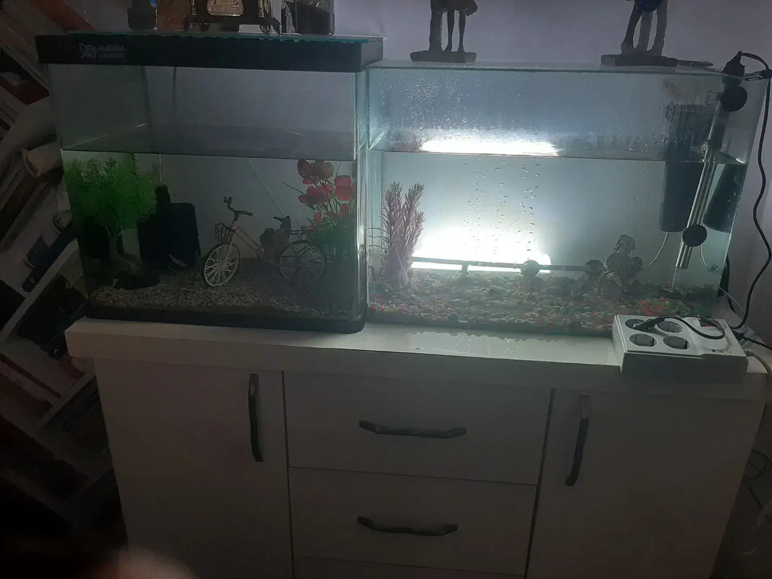 آکواریوم سالم و ارزان فروشی|ماهی|کتالم و سادات شهر, |دیوار