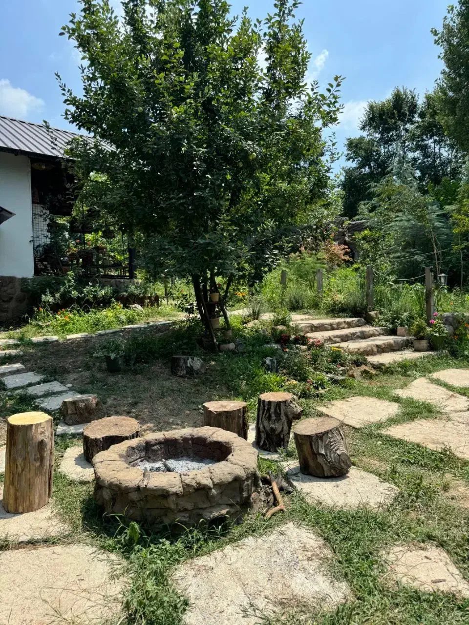 اجاره کلبه روستایی|اجارهٔ کوتاه‌مدت ویلا و باغ|قائم‌شهر, |دیوار