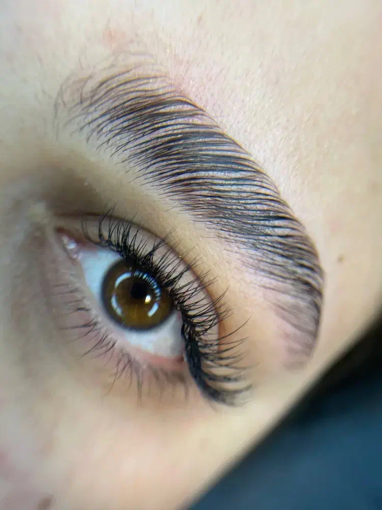 مدل  کاشت مژه|خدمات آرایشگری و زیبایی|بجنورد, |دیوار