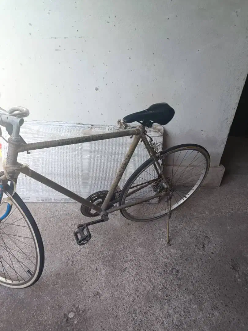 دوچرخه کورسی|دوچرخه، اسکیت، اسکوتر|رشت, کوی مهر|دیوار