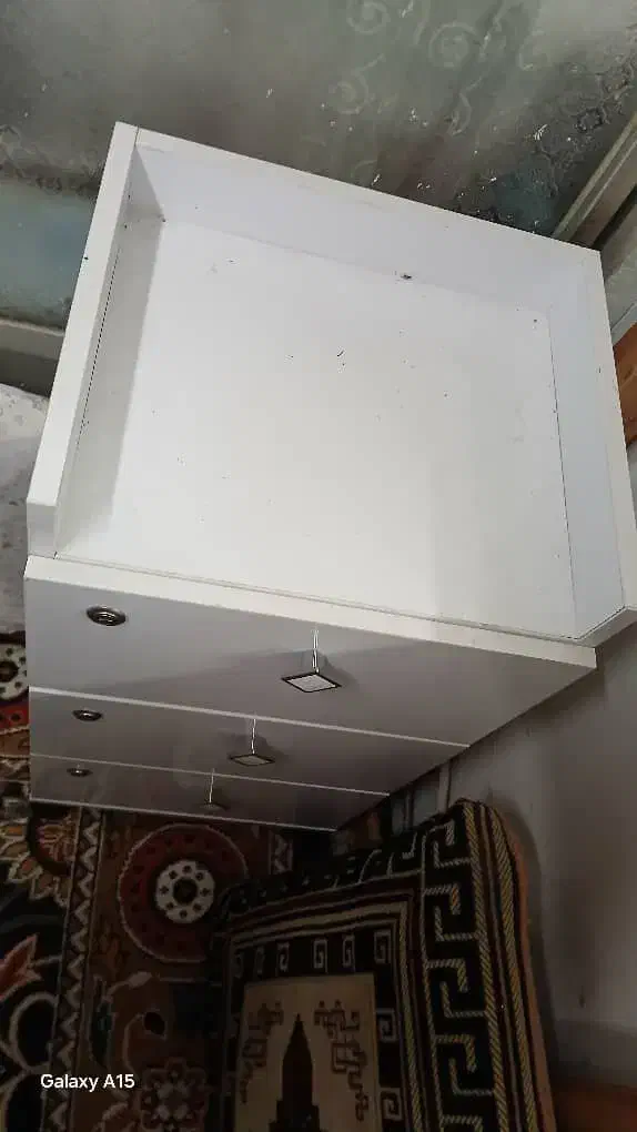 ترولی|آرایشگاه و سالنهای زیبایی|رشت, معلولین|دیوار