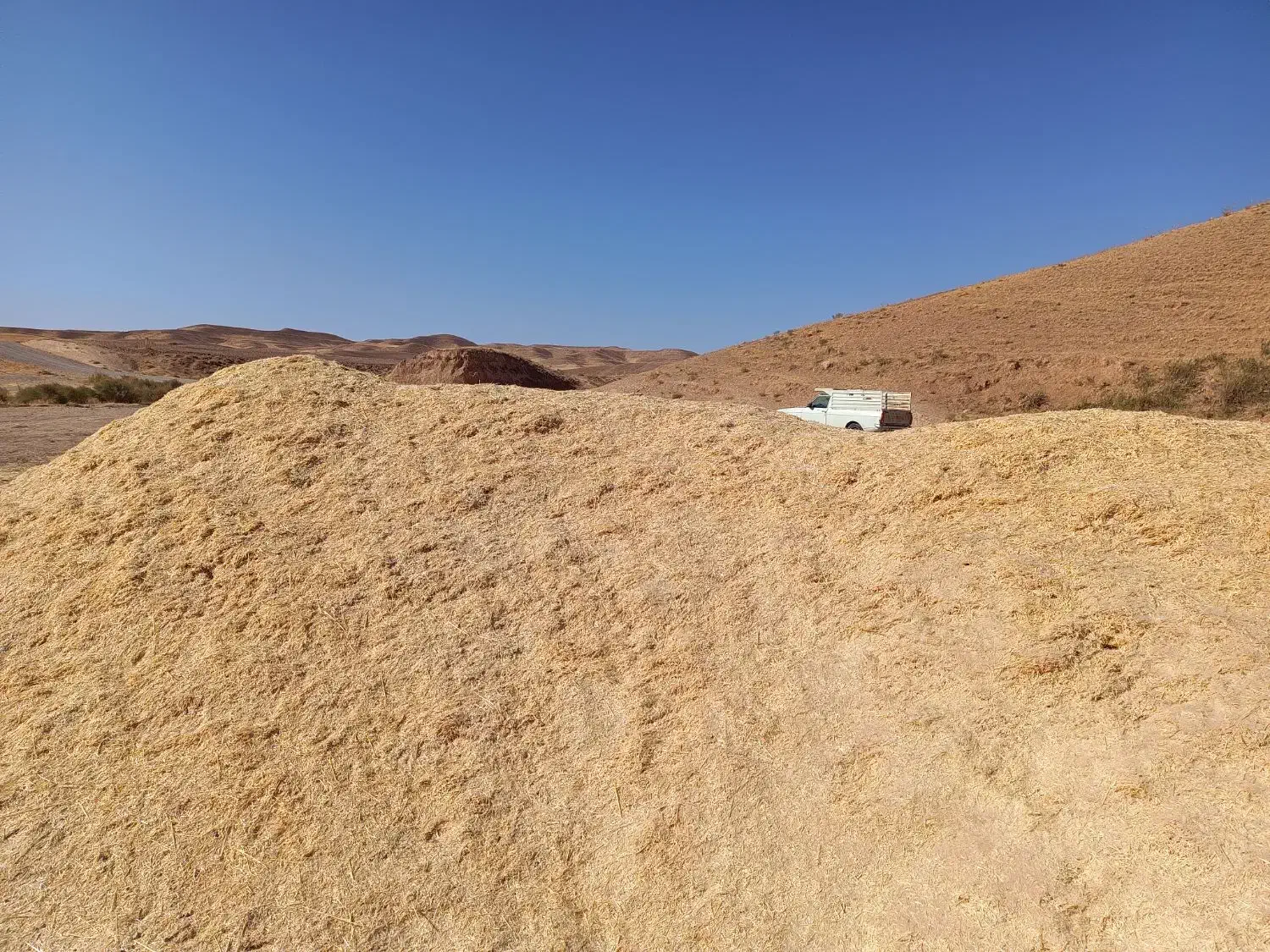 کاه گندم|عمده‌فروشی|سریش آباد, |دیوار