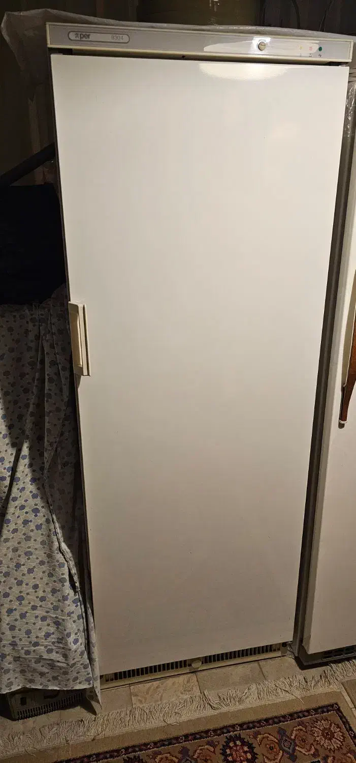 فریزر اکسپیر ایتالیایی|یخچال و فریزر|اصفهان, باغ زرشک|دیوار