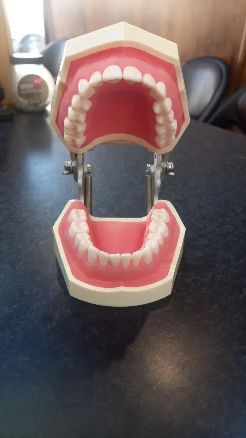 استخدام لابراتوار دندانسازی|استخدام درمانی، زیبایی، بهداشتی|شیراز, سینما سعدی|دیوار