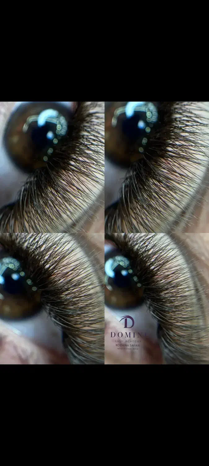 تخفیف آموزش اکستنشن مژه|خدمات آموزشی|شاهین‌شهر, خانه کارگر|دیوار