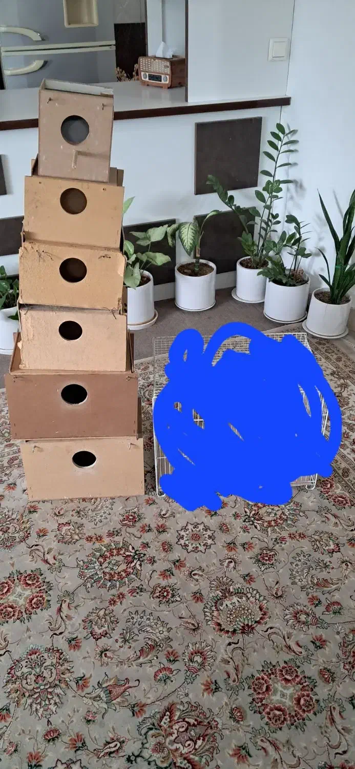 قفس ولانه پرنده|لوازم جانبی حیوانات|گرگان, |دیوار