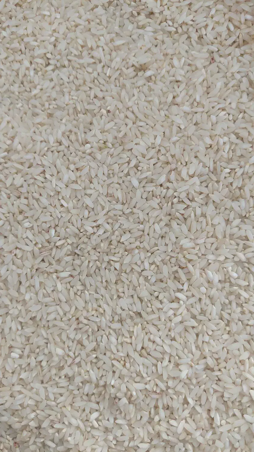 برنج شمشیری چرداول|خوردنی و آشامیدنی|ایلام, |دیوار