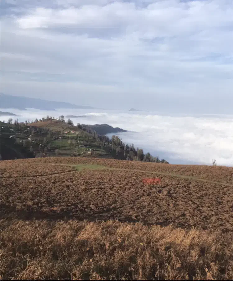 فروش زمین تالش|فروش زمین و ملک کلنگی|تالش, تالش|دیوار