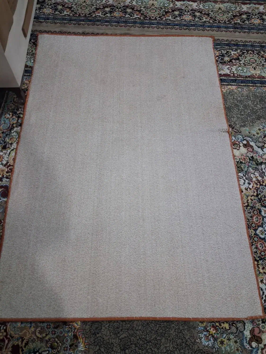 موکت ظریف مصور پرز بلند|موکت|کرمانشاه, |دیوار