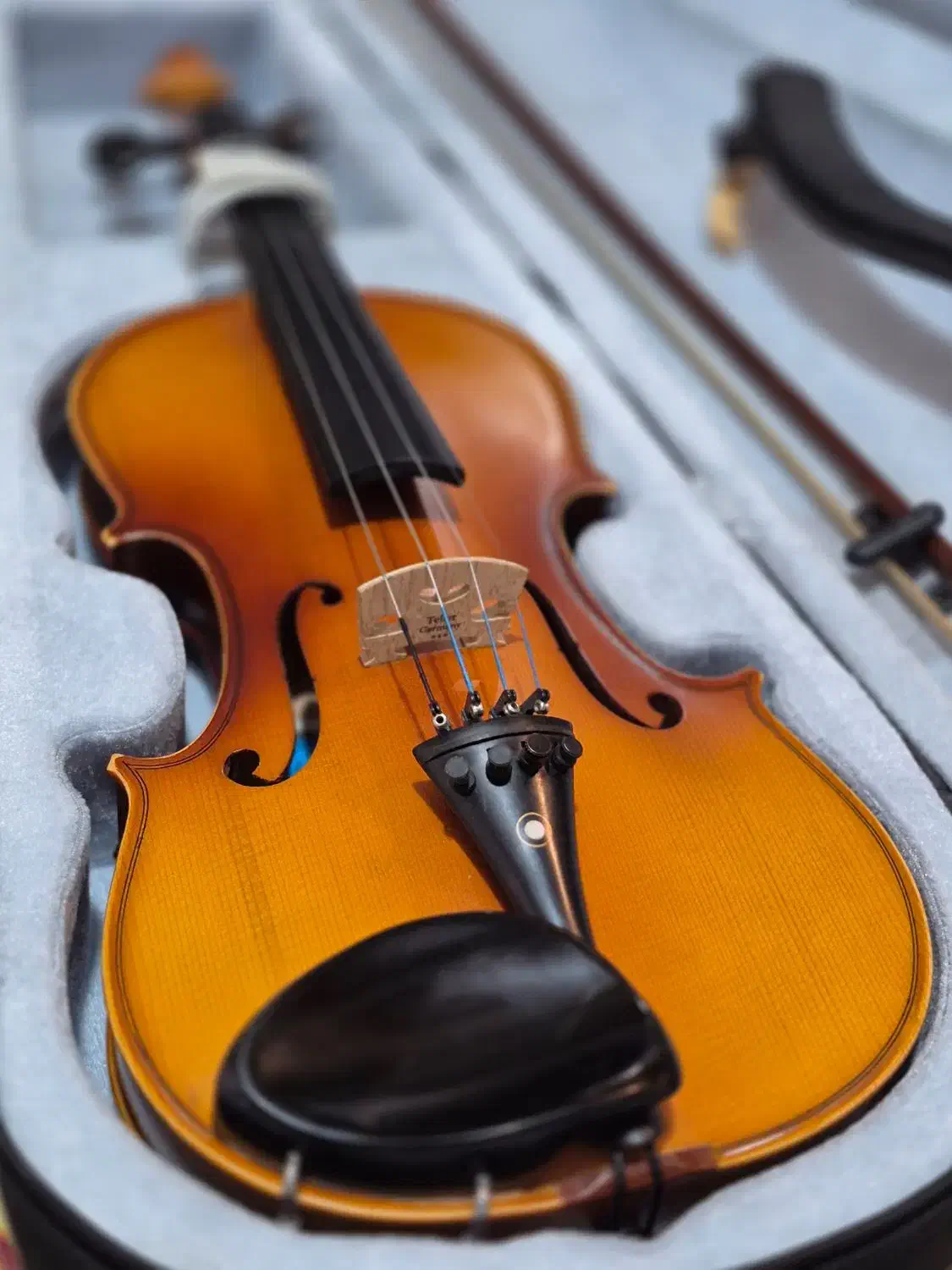 ویولن tf142|ویولن|یاسوج, |دیوار