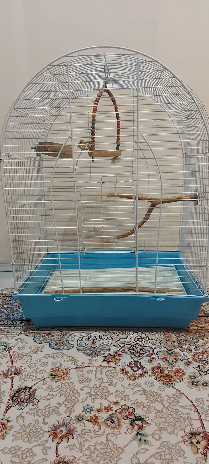 قفس پرنده|لوازم جانبی حیوانات|تهران, مرزداران|دیوار