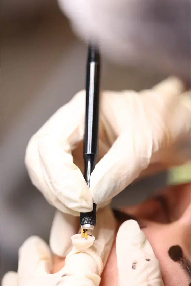 مدل میکروبلیدینگ ابرو|خدمات آرایشگری و زیبایی|رشت, کاکتوس|دیوار