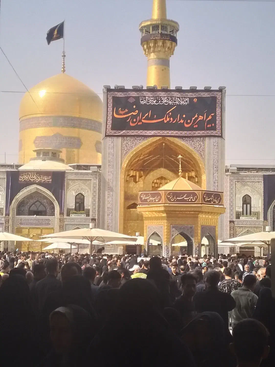 کار داوطلبانه|فعالیت داوطلبانه|تهران, جوادیه|دیوار