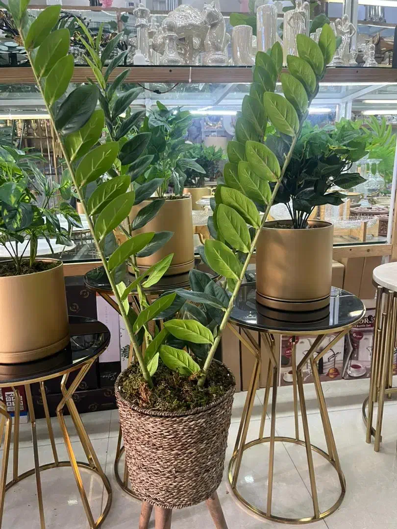 درختچه های مصنوعی|گل مصنوعی|خرم‌آباد, |دیوار