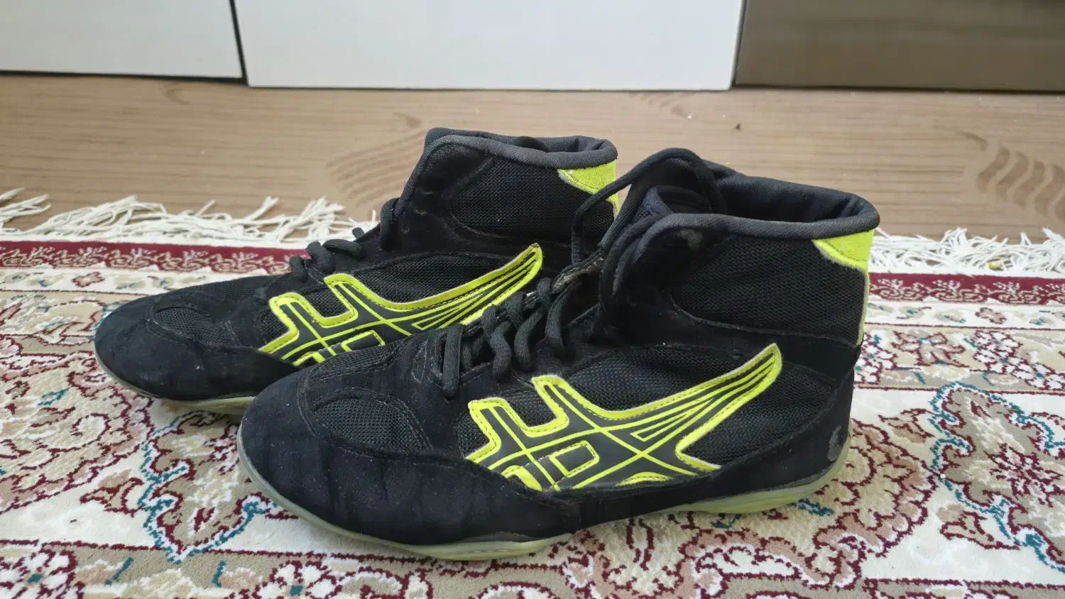 کفش کشتی|تجهیزات ورزشی|زیرکوه, |دیوار